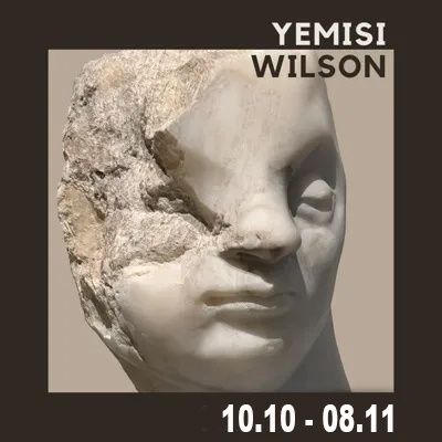 Yemisi Wilson